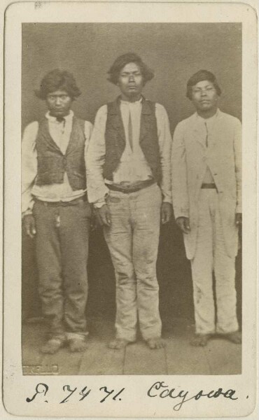 Guarani Kaiowá - Indians