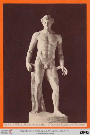 5094. NAPOLI. Museo Nazionale. - Il Celebre Gladiatore Farnese