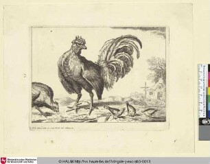 [Hahn, Henne und drei kleine Vögel; Cock, hen and three little birds]