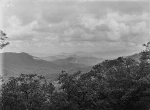 Gebirgslandschaft : Vegetationslandschaft eines Gebirges