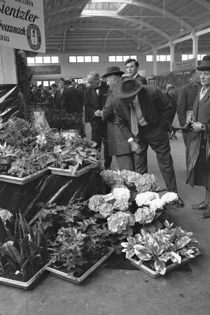 Karlsruher "Blumenbörse", veranstaltet vom Verband badischer Gartenbaubetriebe in der Markthalle.