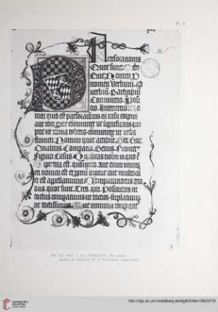 Planches I-XXIV