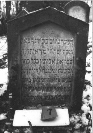 Grabstein 7 (Index: 99608691) Material: Sandstein Zustand: leicht verwittert Maße HxBxT: 77x50x10 cm Beschreibung: Stele mit flachem Spitzgiebel, vertiefter Textteil in gleicher Form Besonderheit: Kindergrab: Grabstein 7