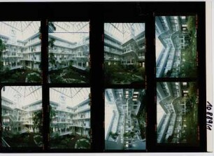 Saxonia Franke, Göttingen, 1989