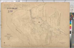 Holthausen (Hagen), Umlegung Holthausen-Haßley, Bl.3 Urkarte I Flur 3