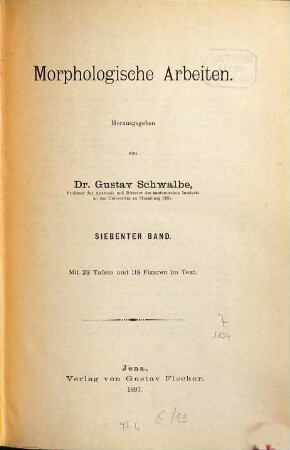 Morphologische Arbeiten. 7. 1897
