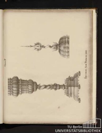 Specinems from Antwerp 1568