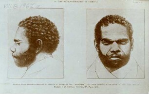 "Head of a Tasmanian."