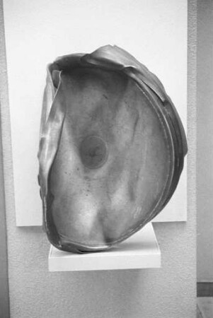 Ausstellung "Meteoriten" bei den Landessammlungen für Naturkunde/Museum am Friedrichsplatz
