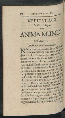 Meditatio X. In Exerc. 6. s. 1. De Anima Mundi