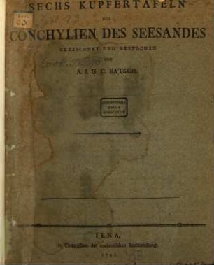 Sechs Kupfertafeln Mit Conchylien Des Seesandes