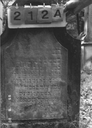 Grabstein 212 (Index: 99609848) Material: Sandstein Zustand: stark verwittert, weitgehender Textverlust Maße HxBxT: 96x57x12 cm Beschreibung: Stele, geschwungen eingezogener hoher Bogenabschluß, Schriftfeld eingetieft Symbolik: Rosette Besonderheit: Kindergrab: Grabstein 212A