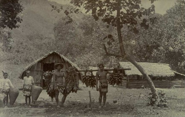 "Banana bearer. Hitiaa, Tahiti"