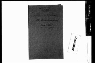 Korrektur der Iller (1825-1882)