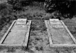 Symbolische Einzelgräber in der KZ-Gedenkstätte Bergen-Belsen