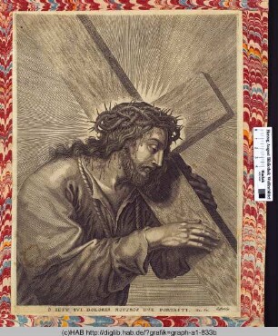 O Iesu qui dolores nostros ipse portasti. Isa. 53.