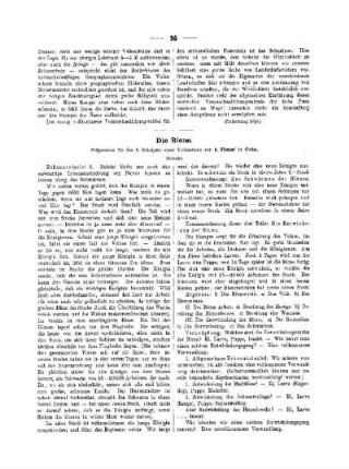 Die Biene : (Schluss)