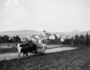 Blick nach Auscha : Auscha (Úštěk/Tschechische Republik) bei Leitmeritz. Blick nach Auscha mit Kirche Peter und Paul