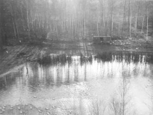 Zittauer Becken. Ehemaliger Braunkohlentagebau, abgesoffen, bei Hartau südöstlich Zittau