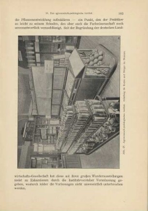 Abb. 27. Agronomisch-pedologisches Institut. Abteilung für Boden und Dünger im Museum
