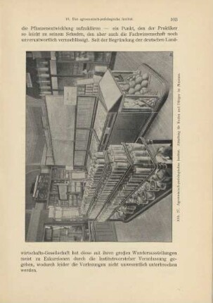 Abb. 27. Agronomisch-pedologisches Institut. Abteilung für Boden und Dünger im Museum