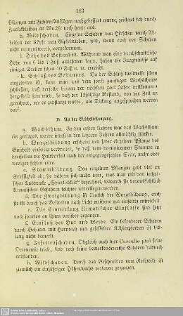 VI.B. An der Büschelpflanzung.