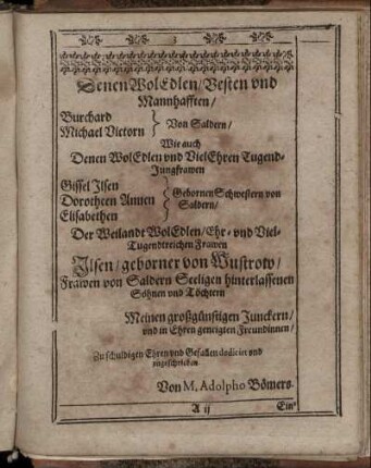 Denen Wol Edlen/ Besten und Mannhafften/ Burchard, Michael Victorn Von Saldern/ [...] Gissel Ilsen, Dorotheen Annen, Elisabethen Gebornen Schwestern von Saldern/ [...] Ilsen/ geborner von Wustrow/ [...] Frawen von Saldern Seeligen hinterlassenen Söhnen und Töchtern.