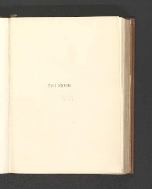 Tafel XXVIII.