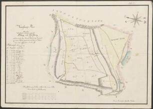 Vermessungs-Plan über den (Städtischen Lehenwald, von anderer Hand) Arberg und Geißberg