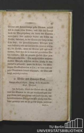 Weißer und schwarzer Senf. Sinapis alba et nigra. Franz. de la moutarde. Engl. mustard.
