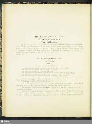 III. Hemiptera Linne