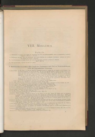 VIII. Mollusca.