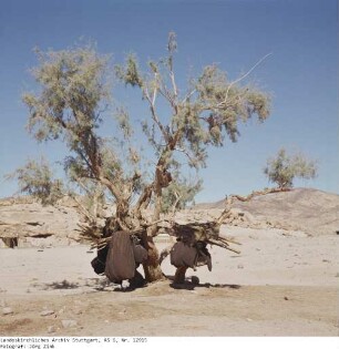Mittlerer Sinai