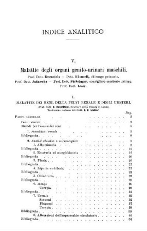 Indice analitico