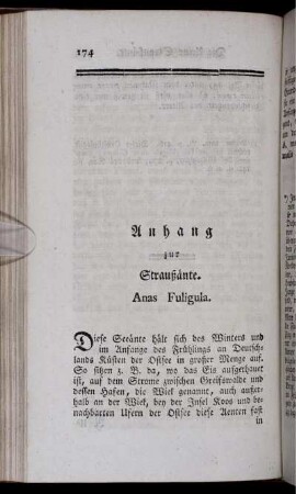 Anhang zu Straußänte. Anas Fuligula.