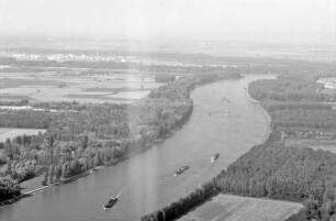 Germersheim: Rhein bei Germersheim