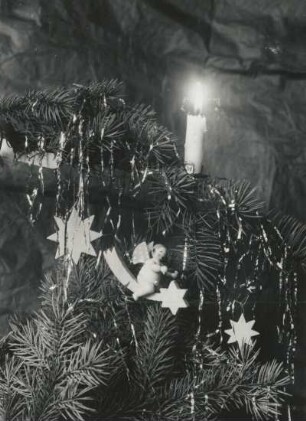 Wendt und Kühn-Sternschnuppen-Engel und Sterne am Weihnachtsbaum