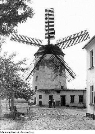 Turmwindmühle : Querbitzsch (bei Oschatz). Turmwindmühle