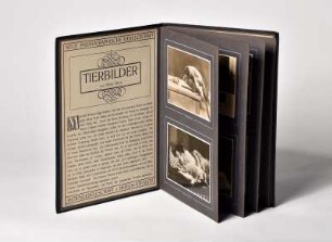 Tieraufnahmen von Käthe Hecht : Leporello mit 14 Tieraufnahmen von Käthe Hecht, hg. von der Neuen Photographischen Gesellschaft AG, Berlin-Steglitz 1913
