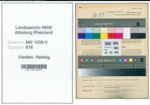 Entnazifizierung Hedwig Vienken , geb. 13.06.1914 (Angestellte)