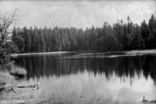 Tiefenbacher Teich : Vorhaltebecken bei Satzung zur Betriebssicherung des Eisenhammers in Schmalzgrube über den Hammergraben (Ca. 4 km)