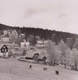 Bärenfels (Altenberg-Bärenfels). Nördlicher Ortsteil. Blick nach Süden