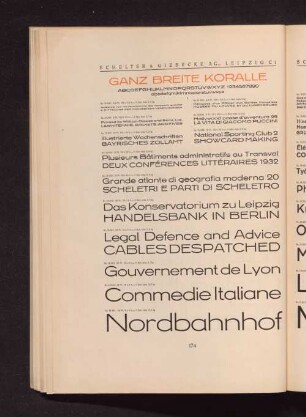 Ganz breite Koralle