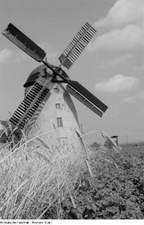 Blick auf eine Windmühle
