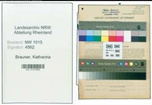 Entnazifizierung Katharina Brauner , geb. 11.07.1901 (Kaufmann)