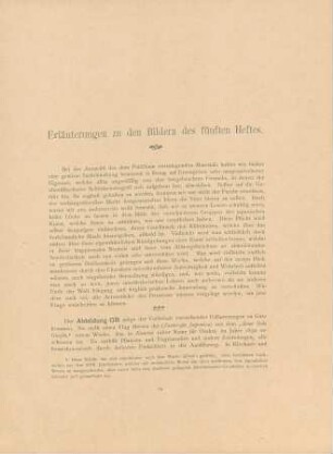 Erläuterungen zu den Bildern des fünften Heftes