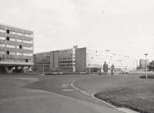 Leningrader Straße, Lingnerallee
