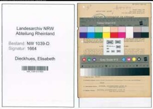 Entnazifizierung Elisabeth Dieckhues , geb. 12.11.1904 (Amtsangestellte)