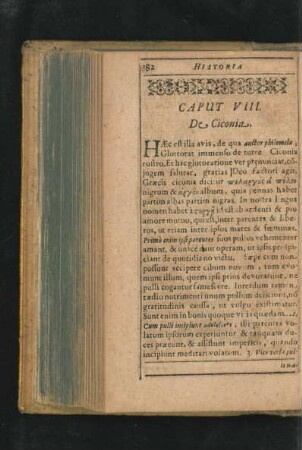 Caput VIII. De Ciconia.