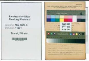 Entnazifizierung Wilhelm Brandt , geb. 26.01.1891 (Lokfuehrer)